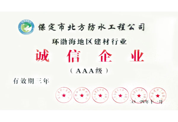 環(huán)渤海地區(qū)防水行業(yè)誠信企業(yè)