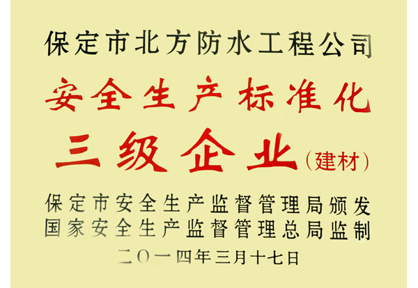 安全生產(chǎn)標(biāo)準(zhǔn)化三級企業(yè)